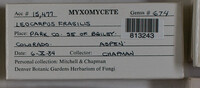 Image Associated With the Occurence